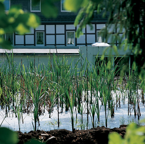 Moorland Hotel Am Senkelteich 블로토 외부 사진